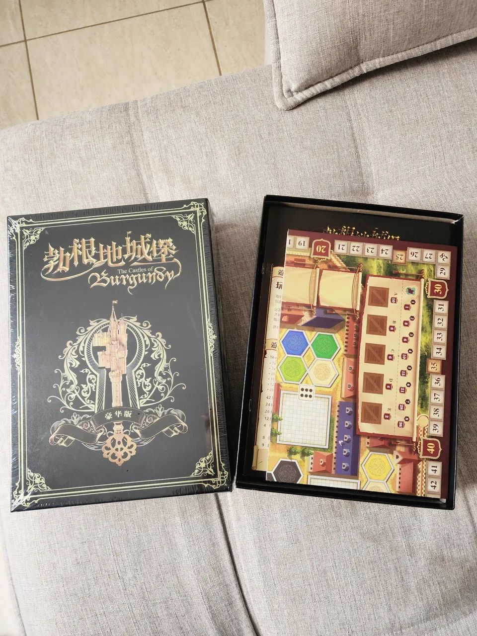 Castles of Burgundy com insert 3D - NOVO