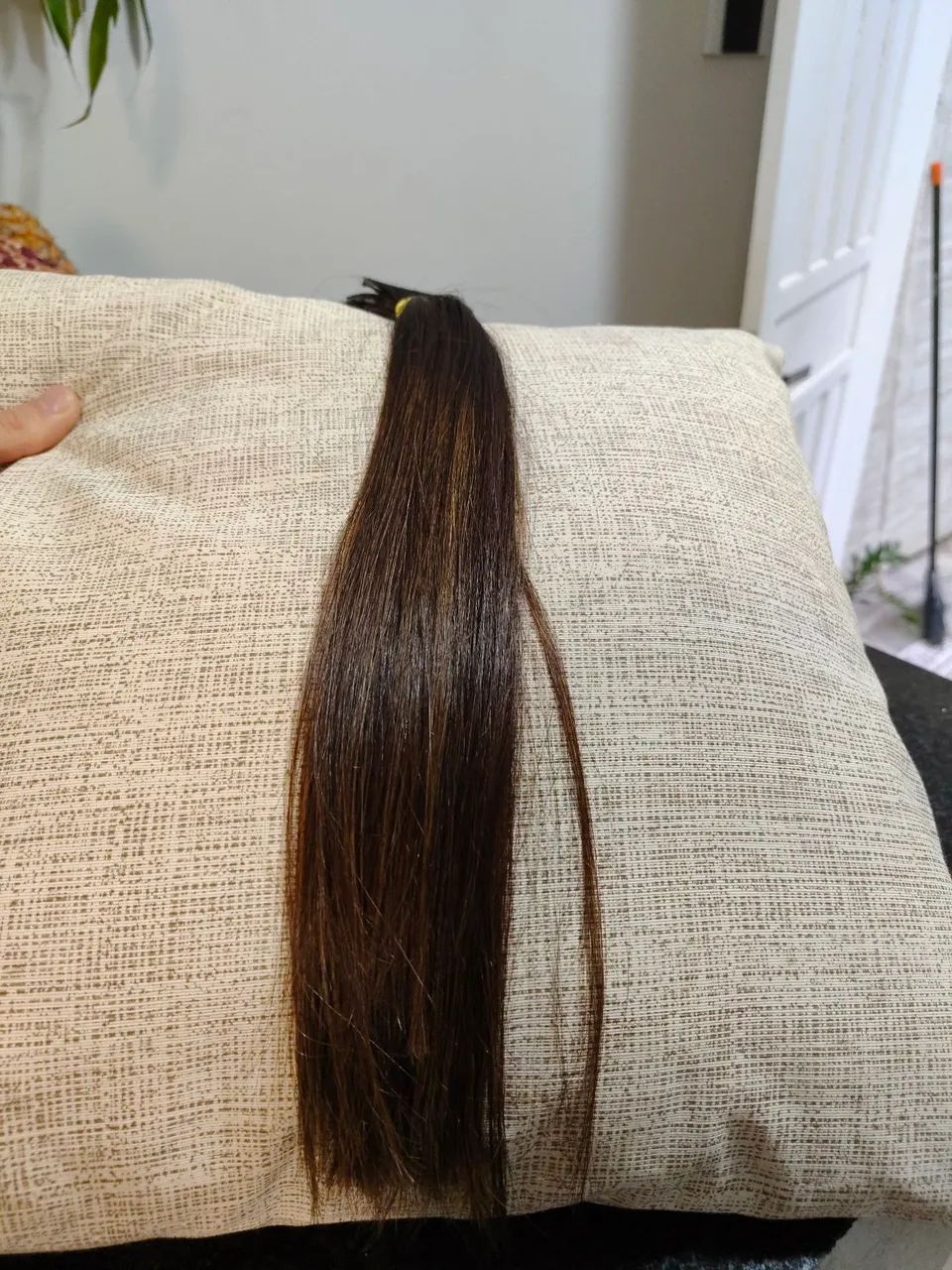 Cabelo brasileiro humano 