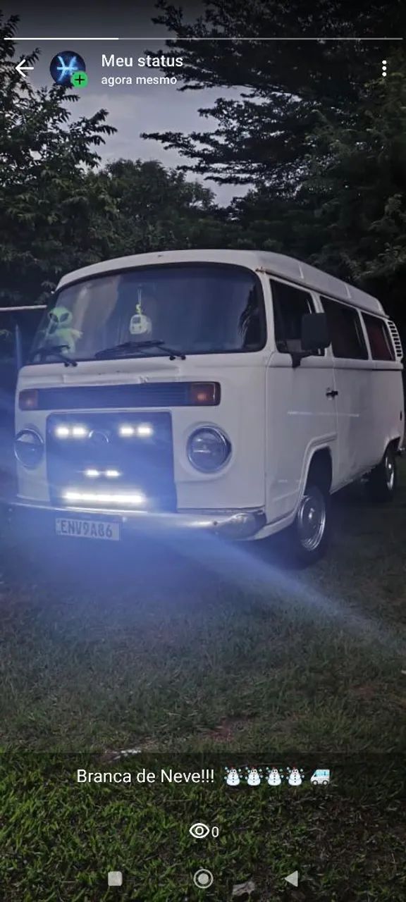 Volkswagen Kombi 2010