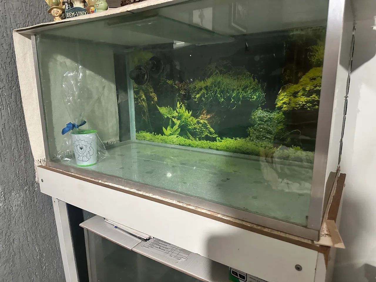 Aquário com sump e móvel para finalizar  - Foto 3