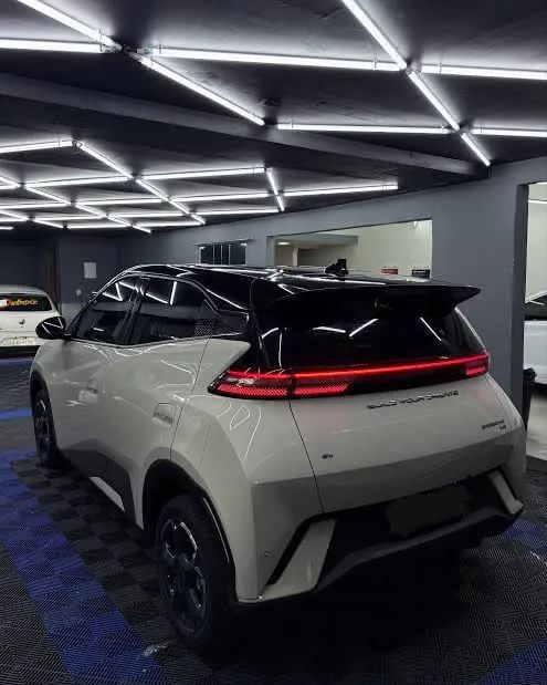 BYD Dolphin Mini (Elétrico) 2025 - Foto 2