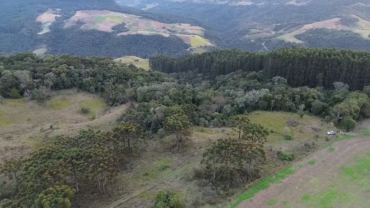 Terreno Alfredo Wagner, 2 hectares, 2 km do centro  - Foto 4