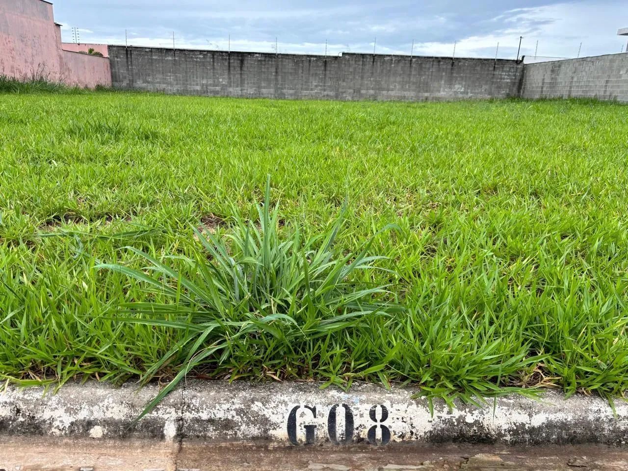 TERRENO À VENDA  CONDOMÍNIO ÁGAPE | PIRACICABA - Foto 5