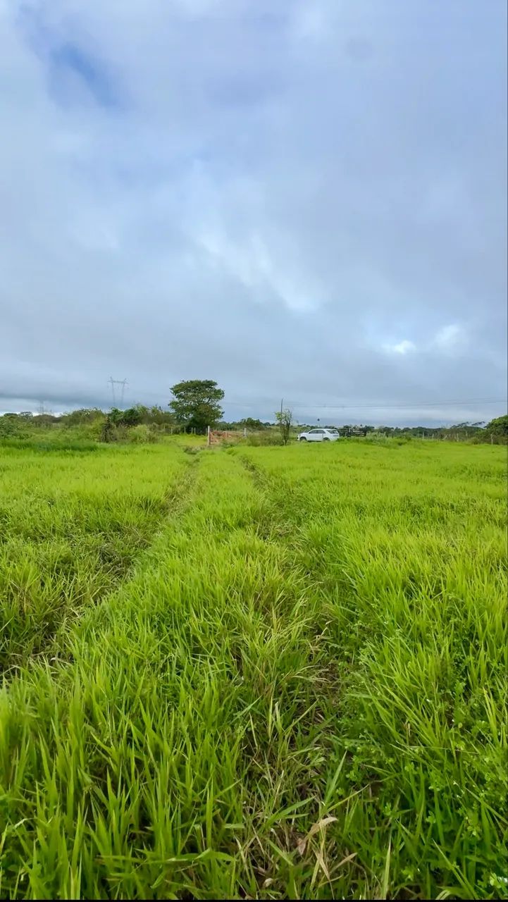 VENDO PROPRIEDADE RURAL - ESPERANÇA PB - Foto 2