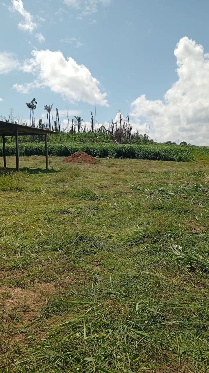 Área pra fazenda 