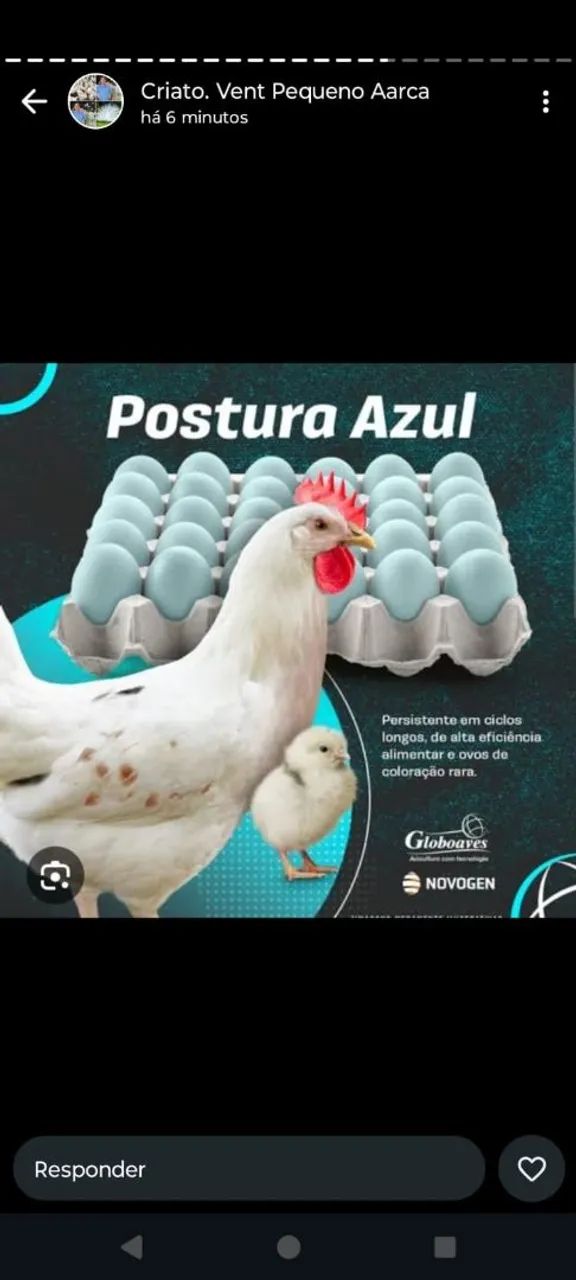 Postura azul 16 rs unidade 