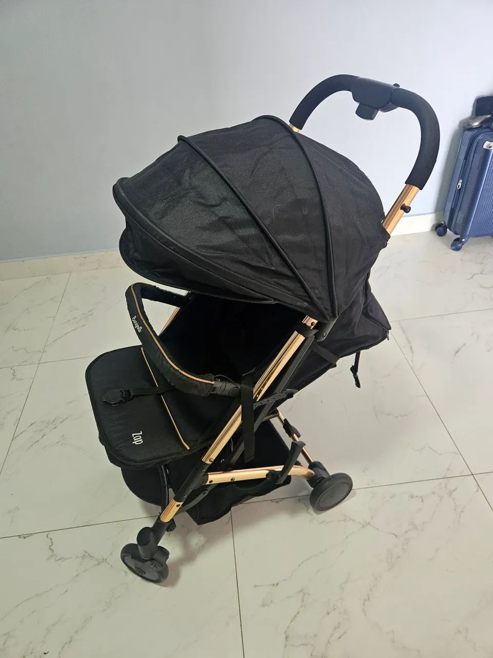 Burigotto Carrinho de Bebê Zap