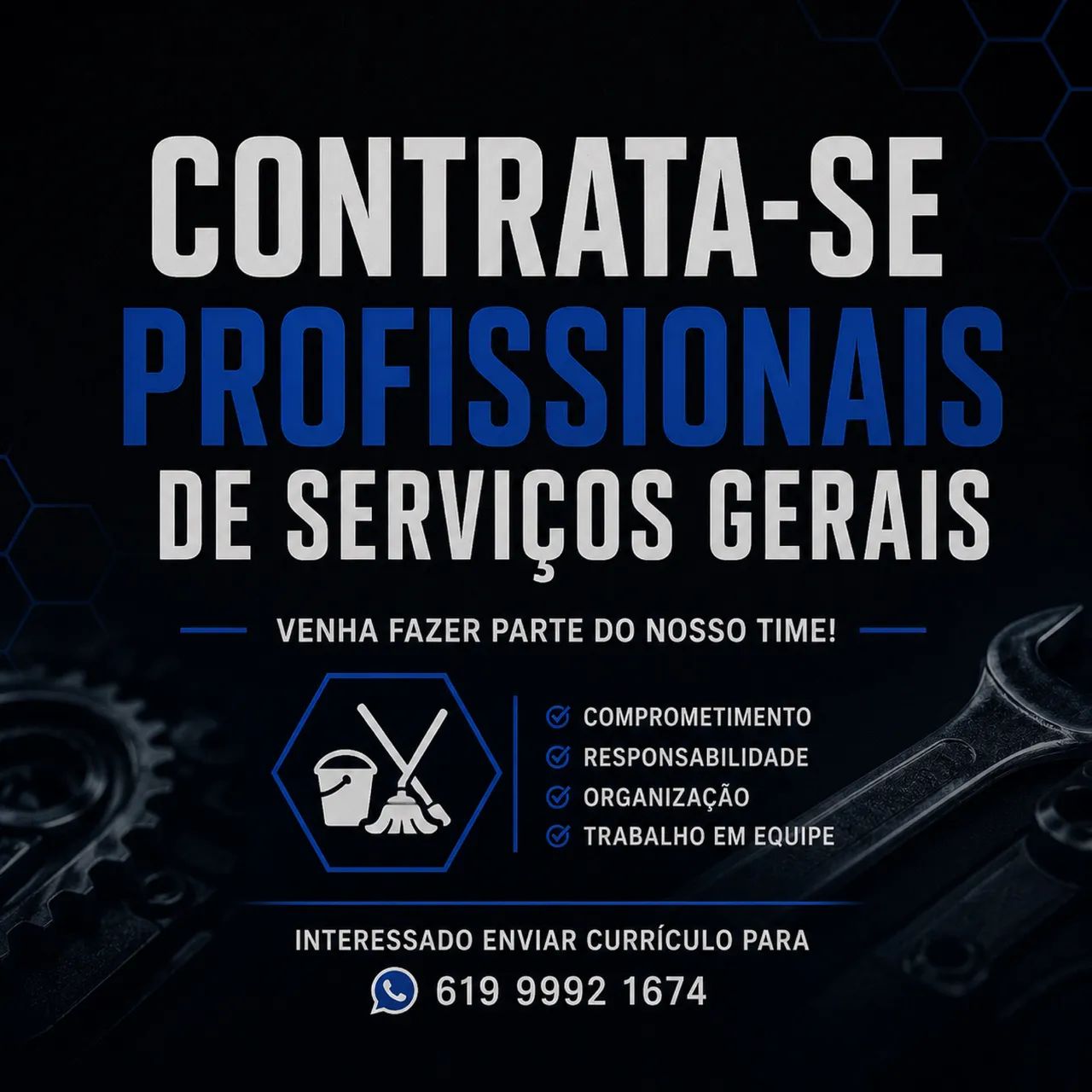 Profissional de serviço gerais com experiência
