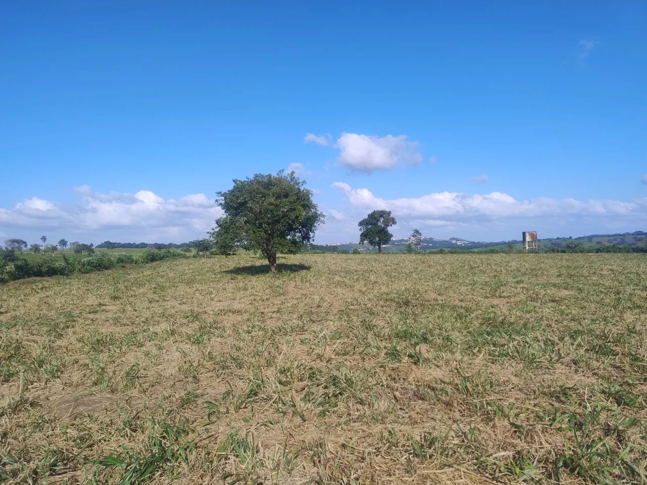 Sitio a venda