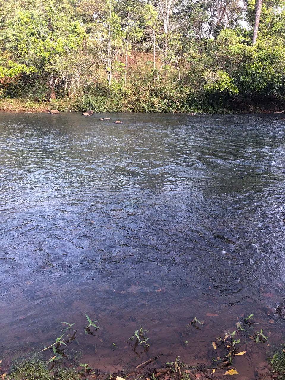 Chácara de 2 hectares às margens do rio Babilônia  - Foto 2