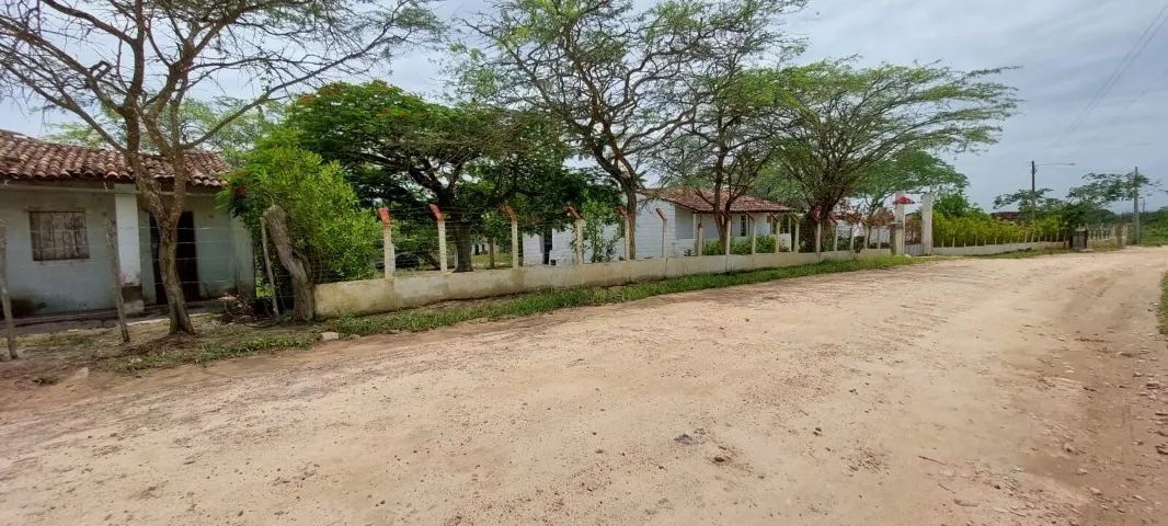 Chácara no Distrito de Maniçoba em Caruaru/PE à Venda (CH0032-DV) - Foto 4