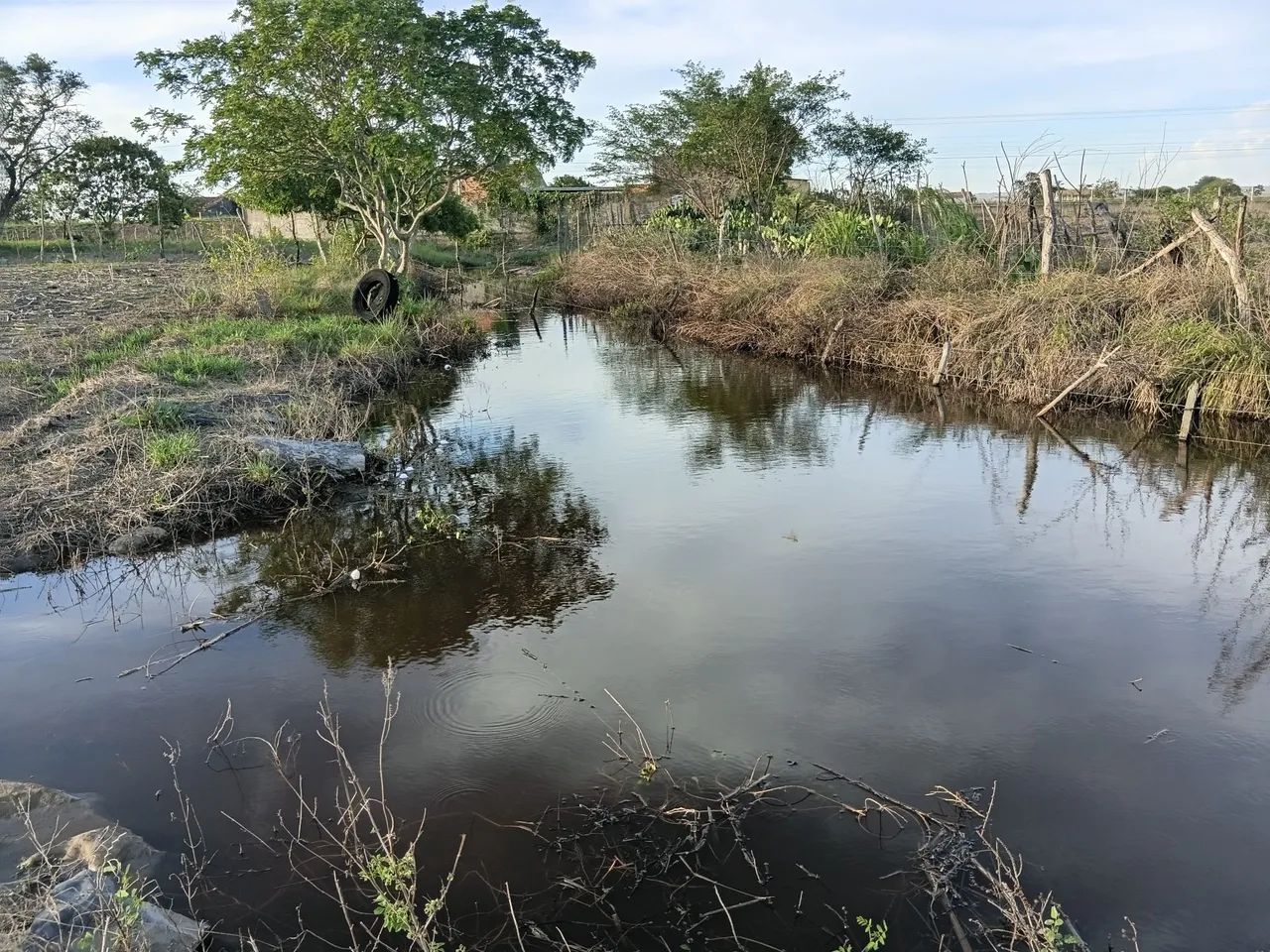 CHÁCARA BOA Â VENDA  - Foto 5