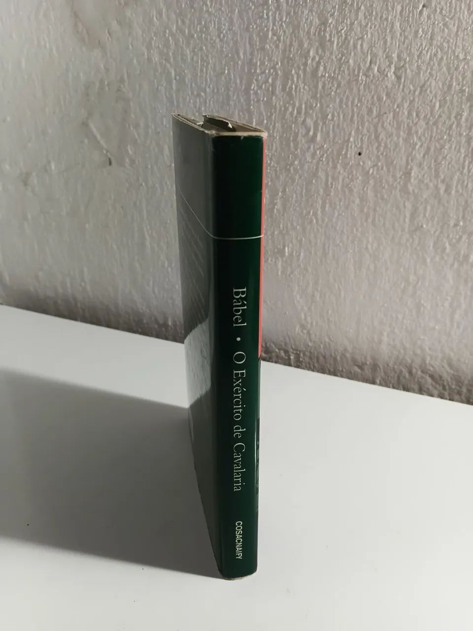 O exército da cavalaria - Isaac Bábel - Foto 2