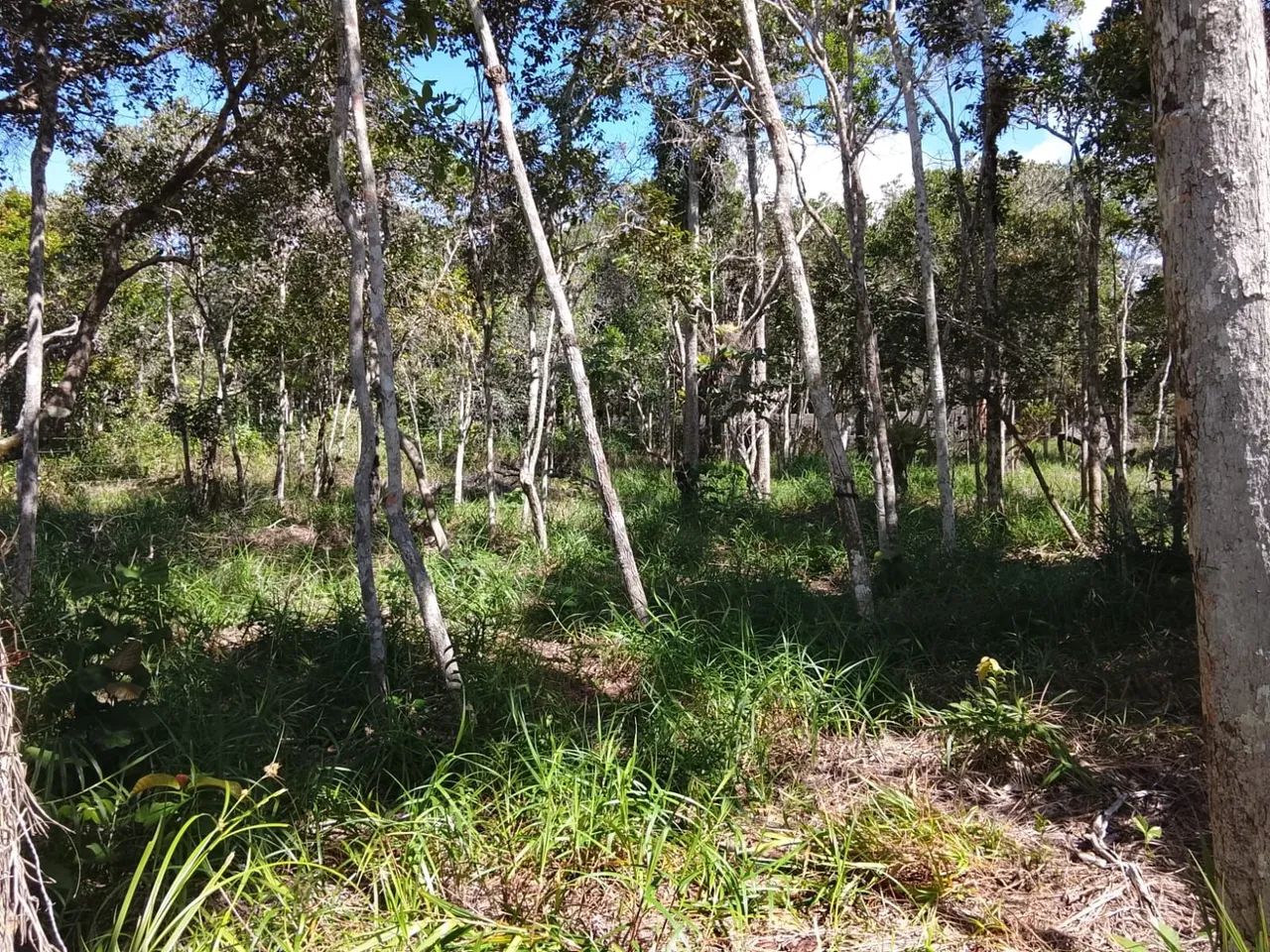 Terreno  - Foto 2
