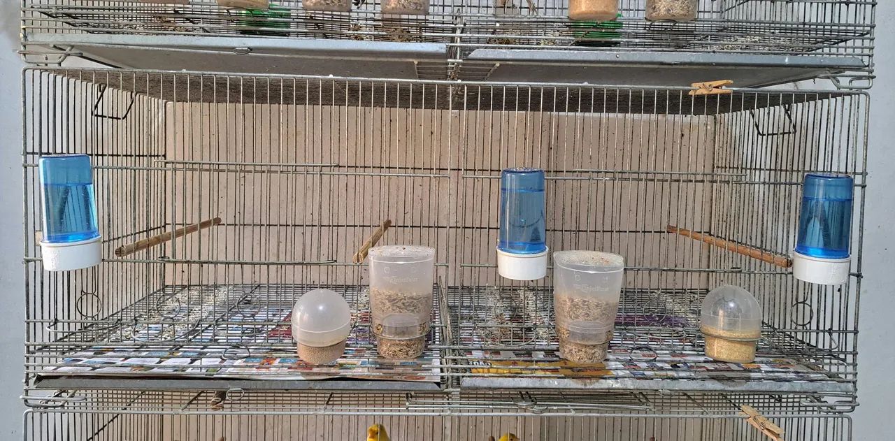 Voadores aramil com carrinho em ótimo estado.   - Foto 2