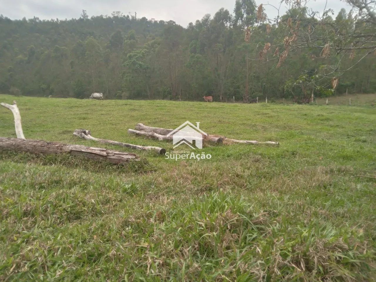 Área Rio Acima ll 5 Alqueires 121 Mil M²- Atibaia. - Foto 3