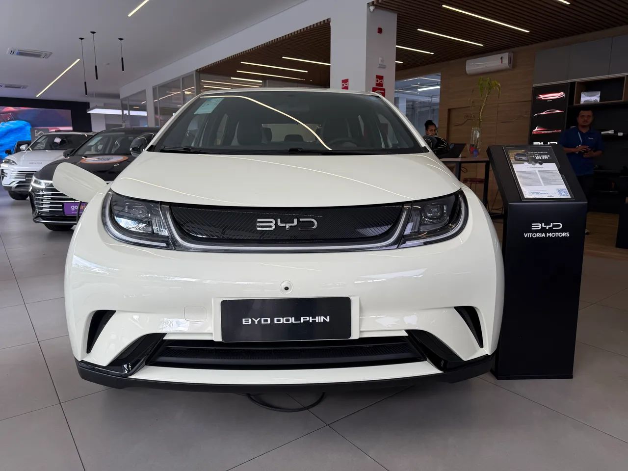 BYD Dolphin GS (Elétrico) 2027 - Foto 2