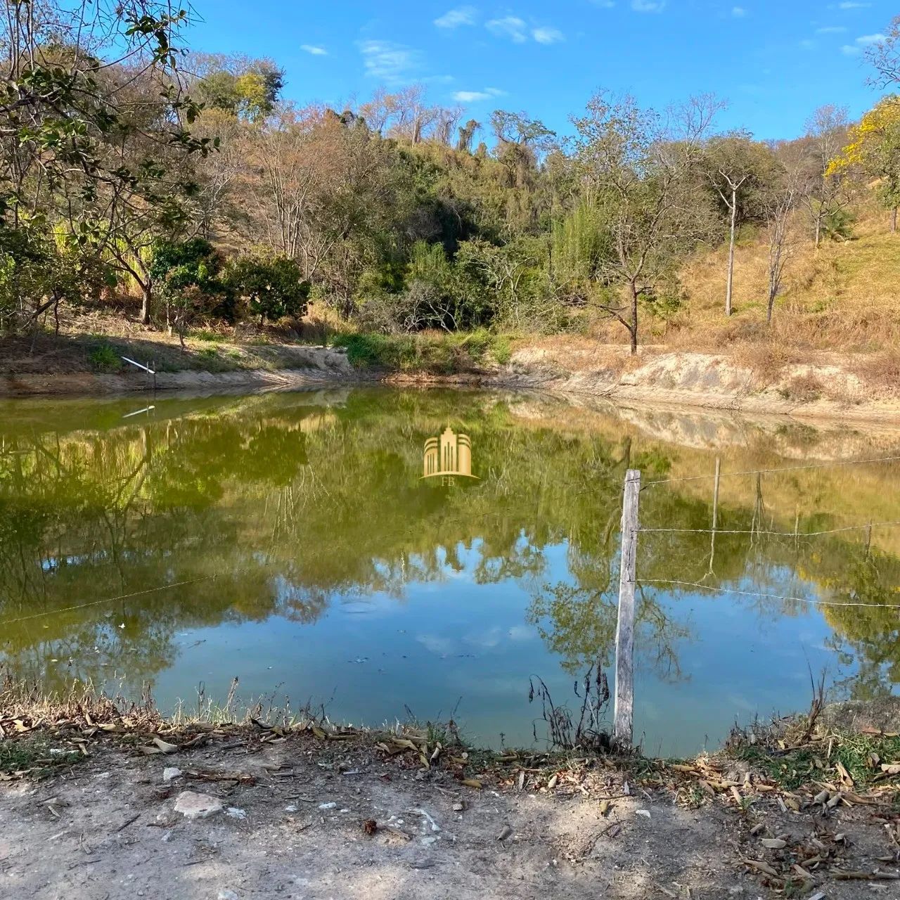 FAZENDA 68 HECTARES - FLORESTAL/MG