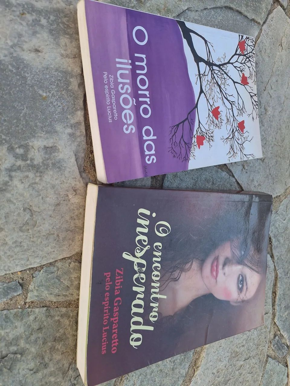 Livros Zibia Gasparetto