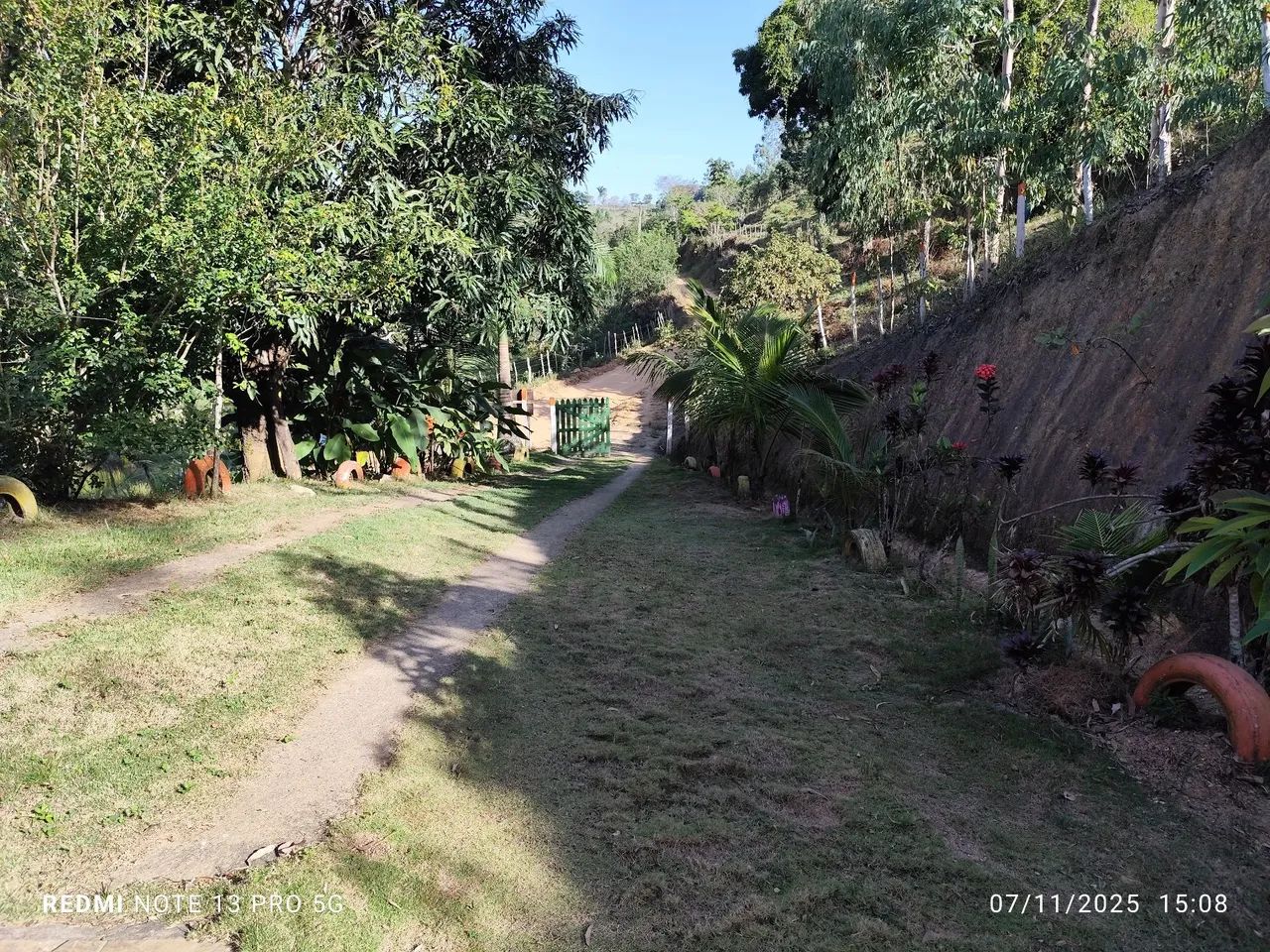 Vendo sítio em Ibateguara/AL - Foto 3