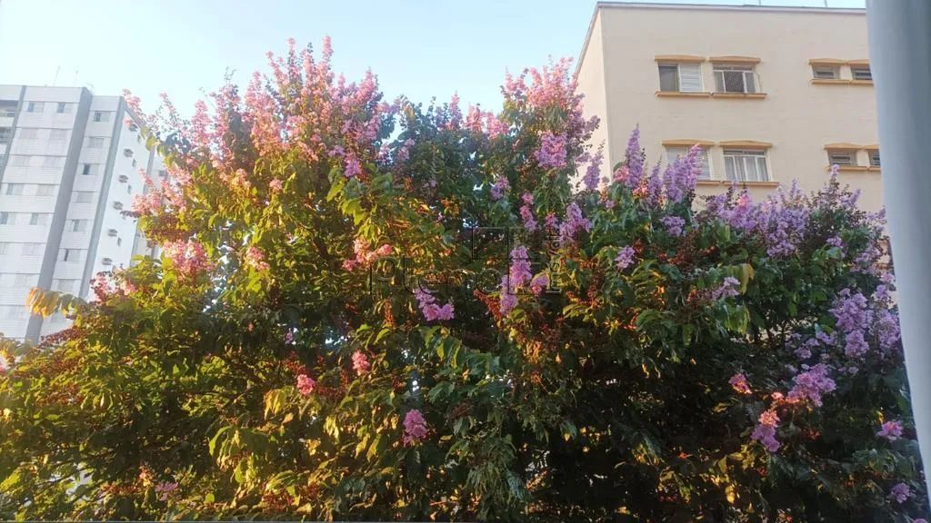 Apartamento à venda em Campinas, Bosque, com 1 quarto, com 65.46 m², Giordano