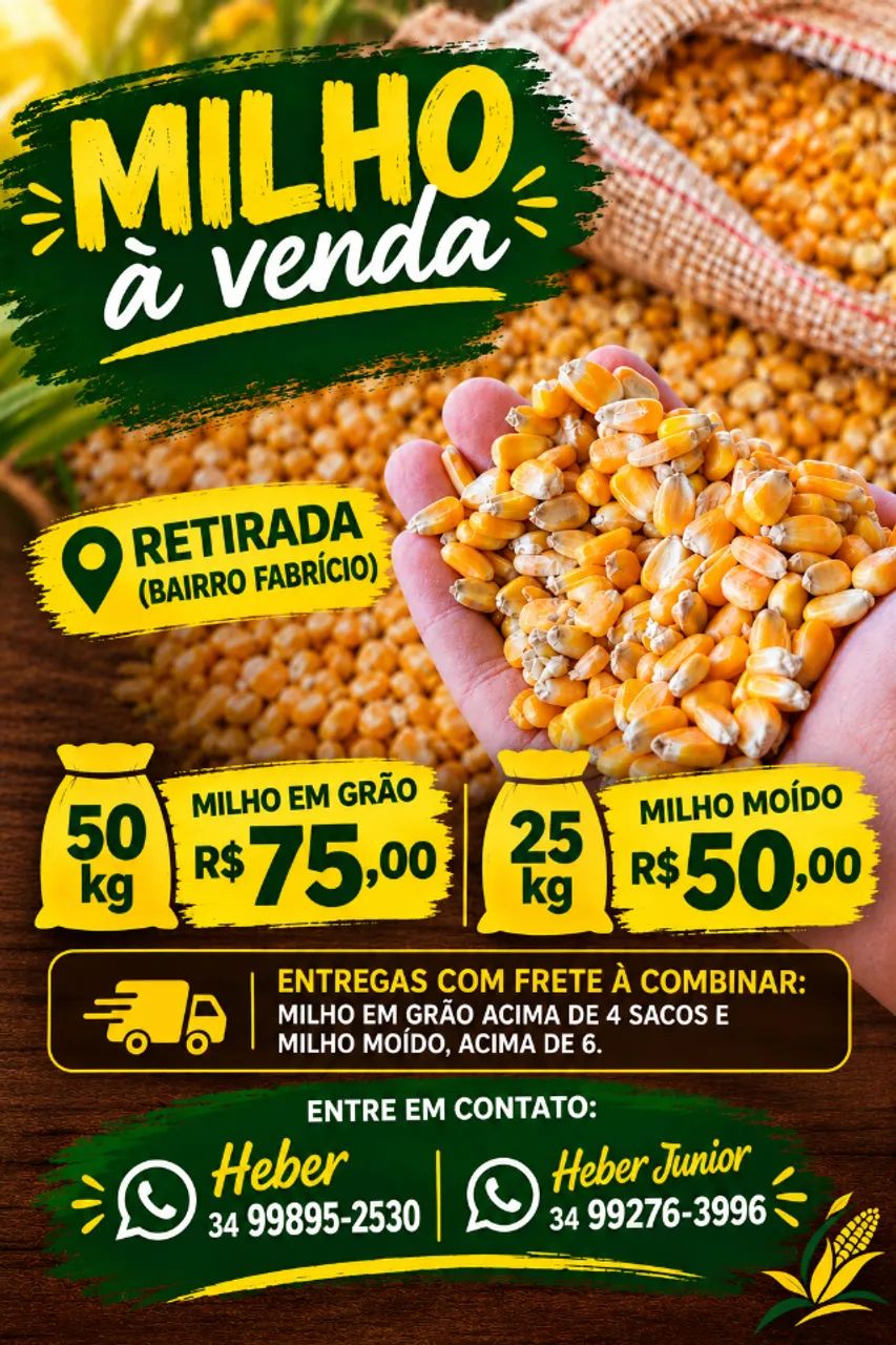Milho À VENDA