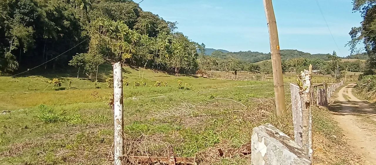 Venda Sítio cidade de Sete Barras  - Foto 4