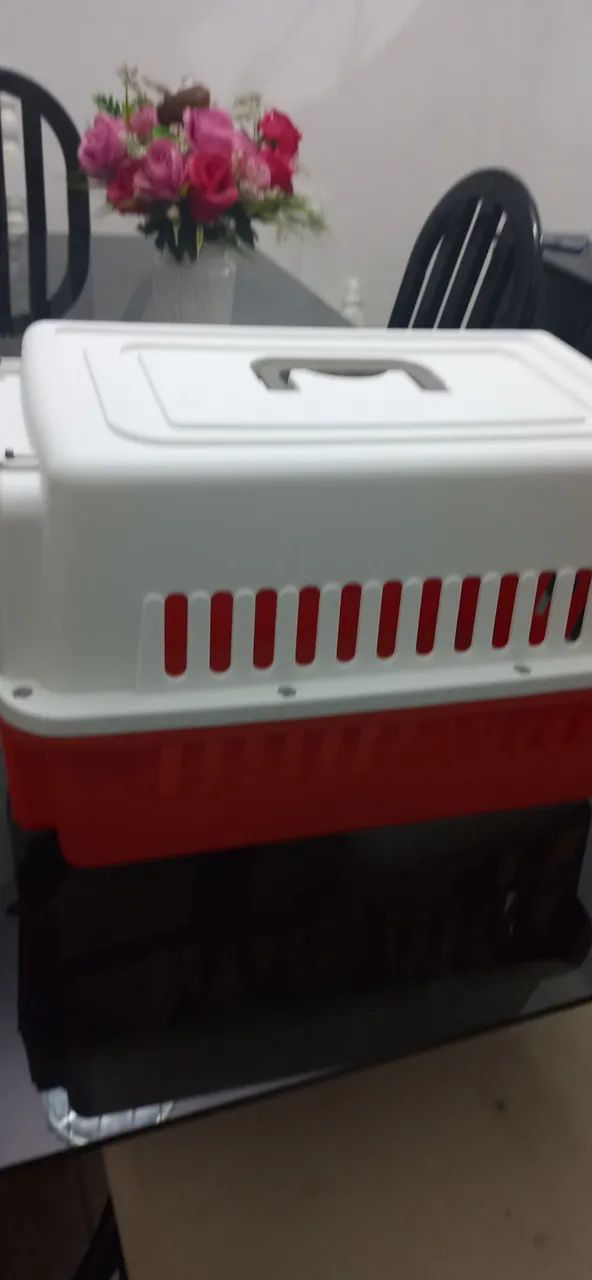 Caixa pet n 2 - Foto 4