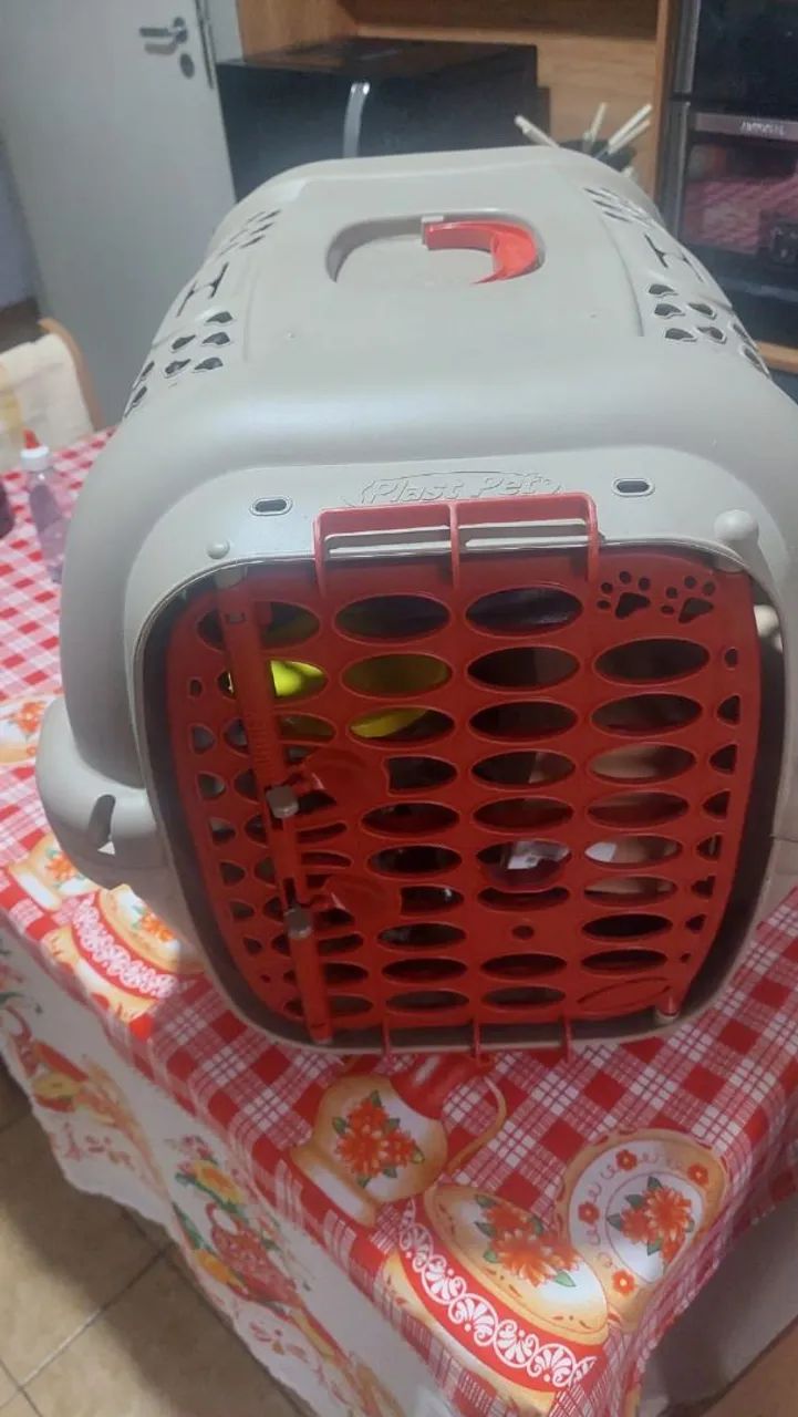 Transporte de cães  e gatos - Foto 3