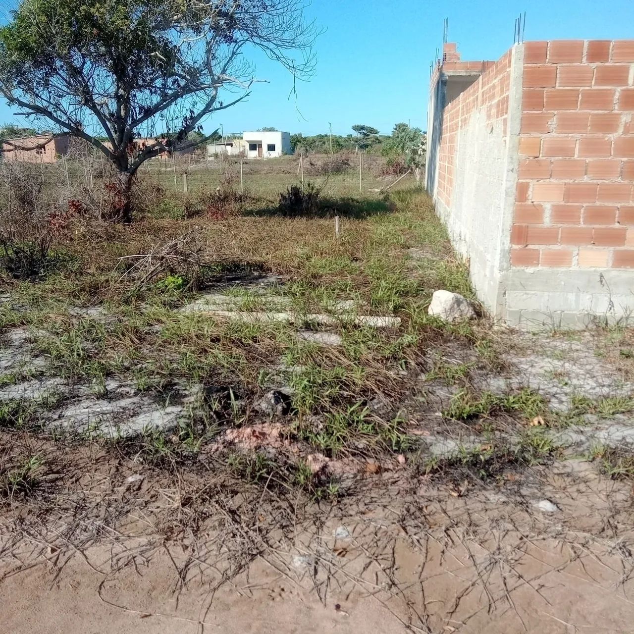 Vendo terreno em Maroba - Foto 3