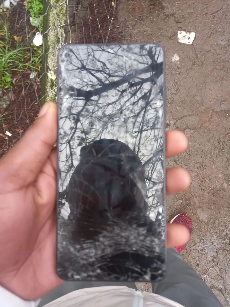 Celular  - Foto 2