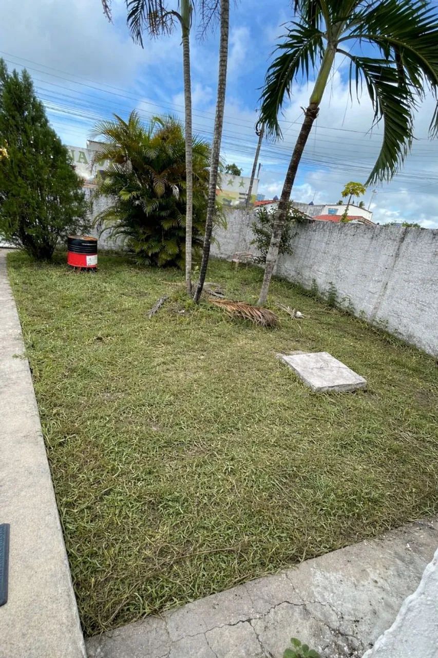 Limpeza De Matos - Foto 2