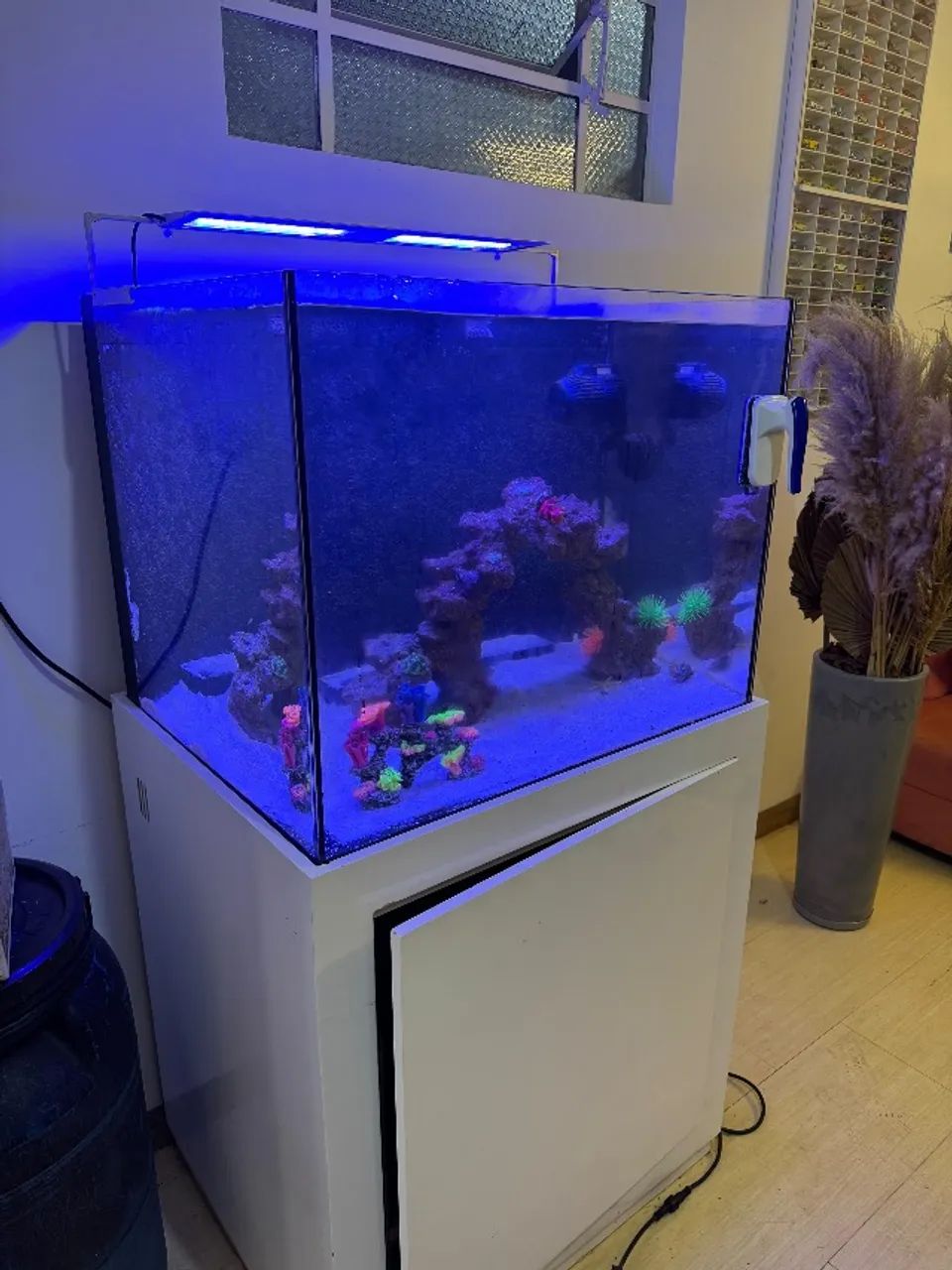 Aquário marinho - Foto 6