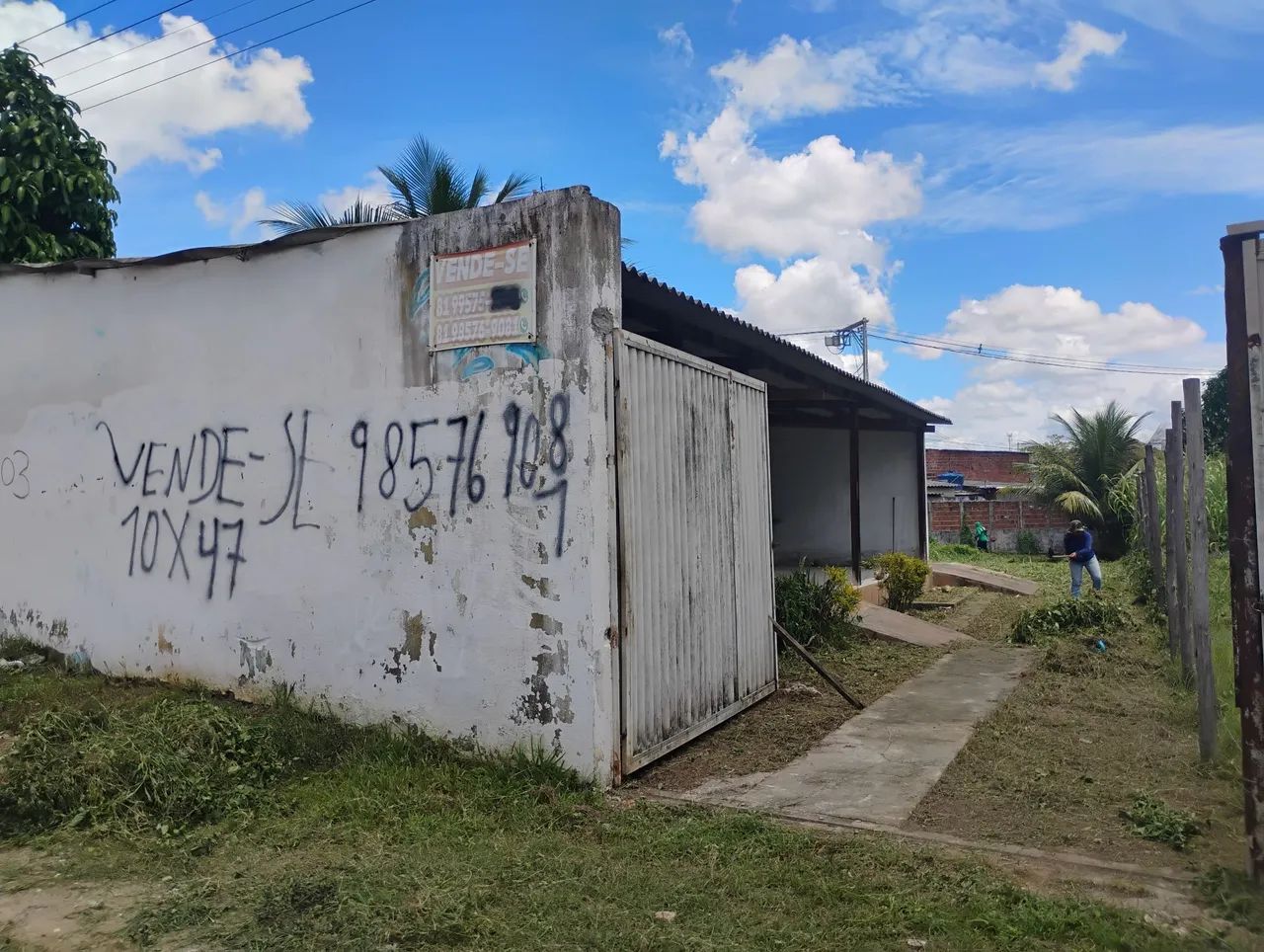 Galpão  - Foto 3