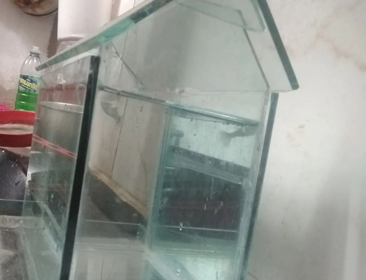 Aquário com 1 peixe ? - Foto 4