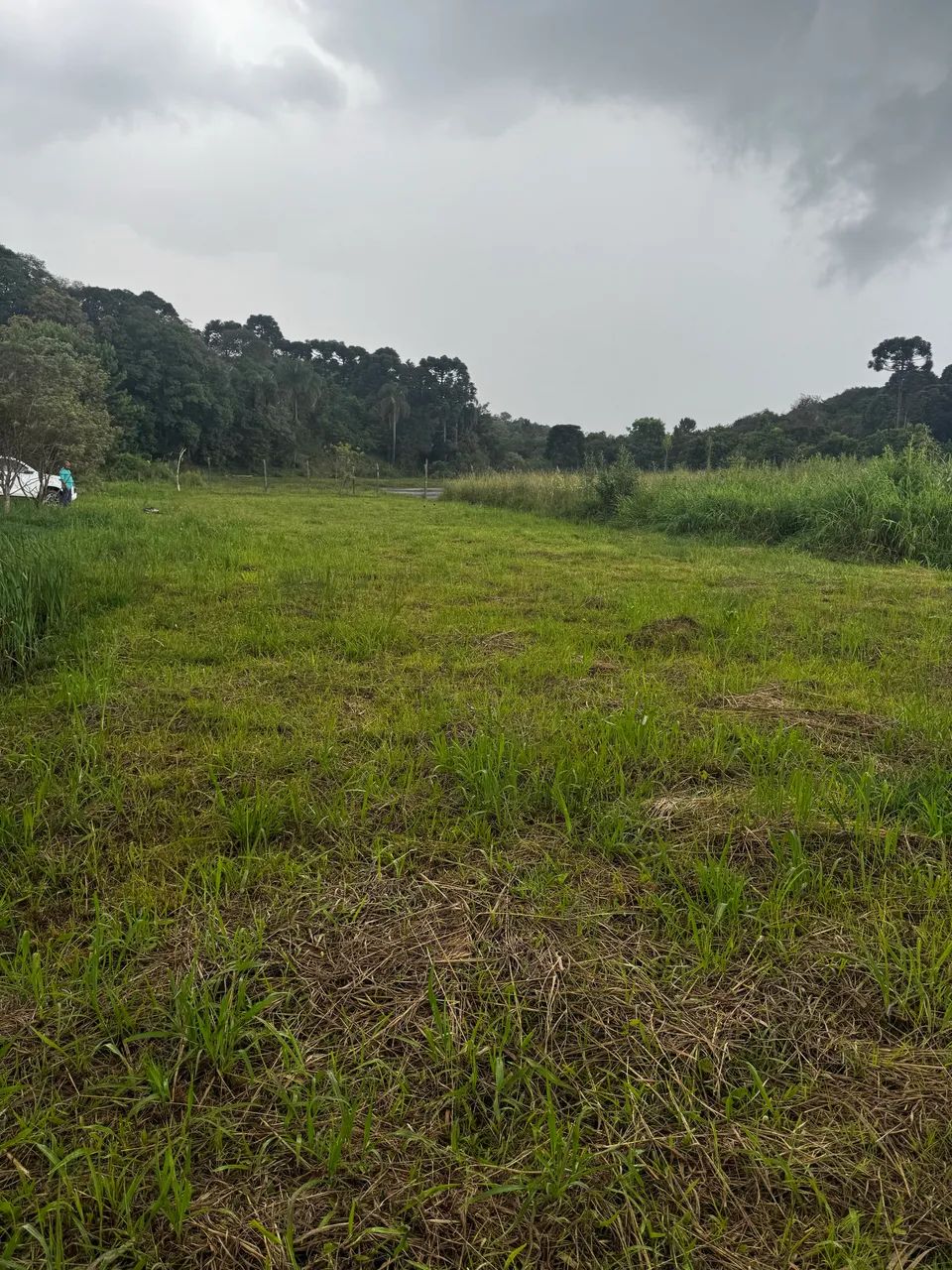 Terreno 732 m2 - São Caetano - Balsa nova Pr - Foto 2
