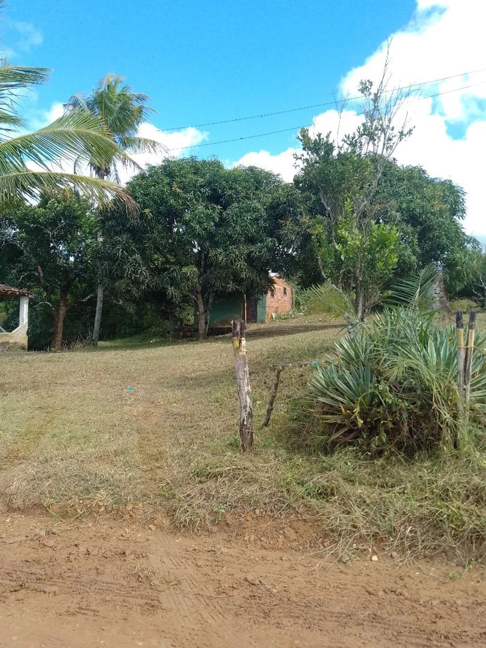 Sitio em salgado-se - Foto 3