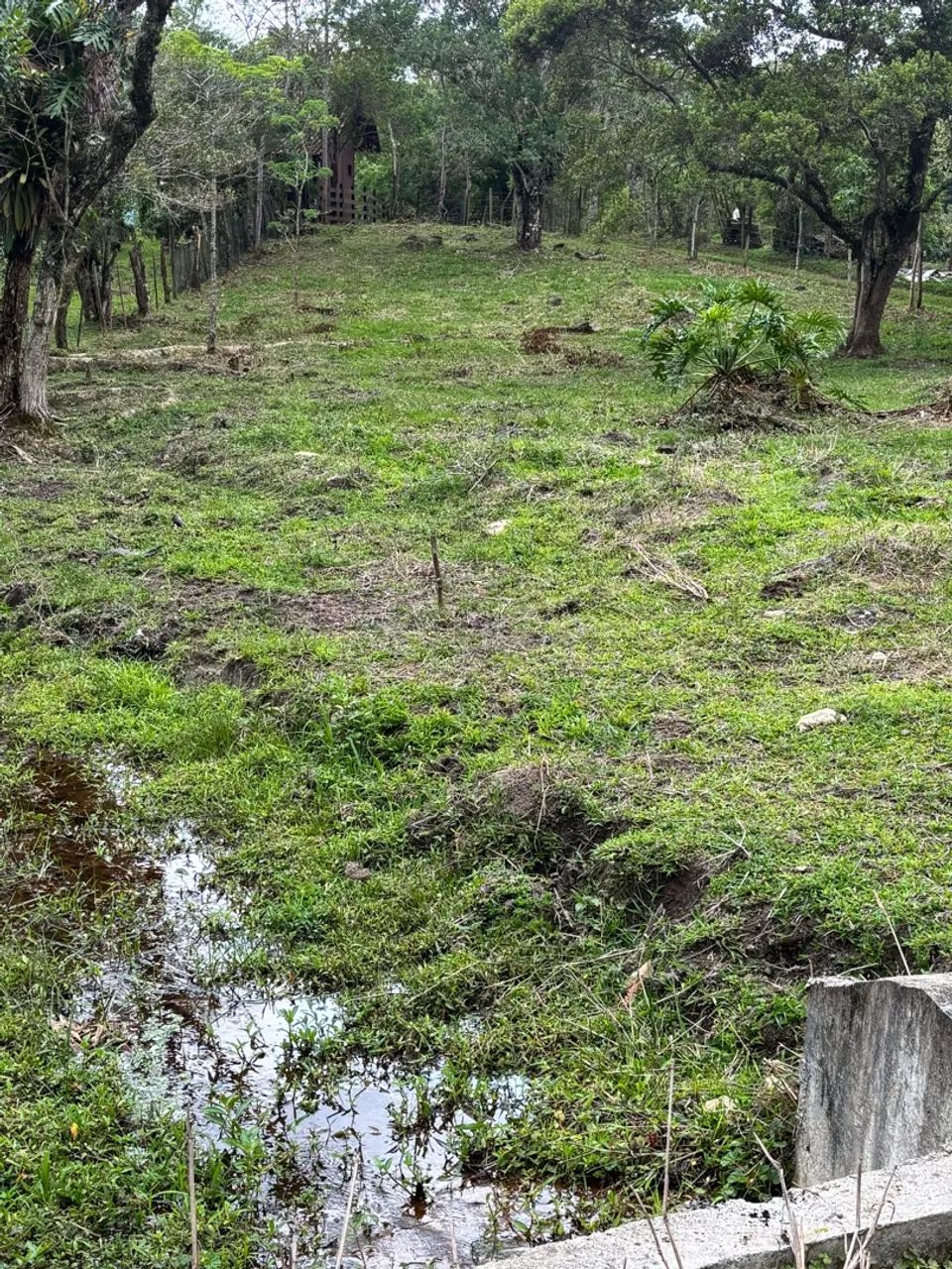 Sítio/terreno - Foto 5