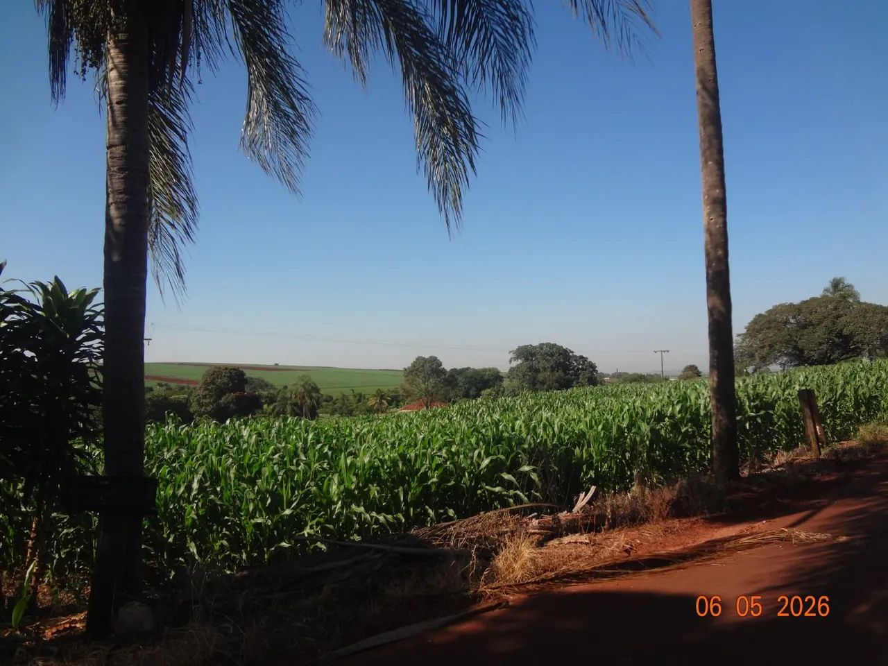 Sitio com 11 alqueires. - Foto 3