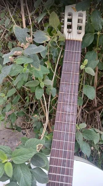 Violão bom e barato - Foto 5