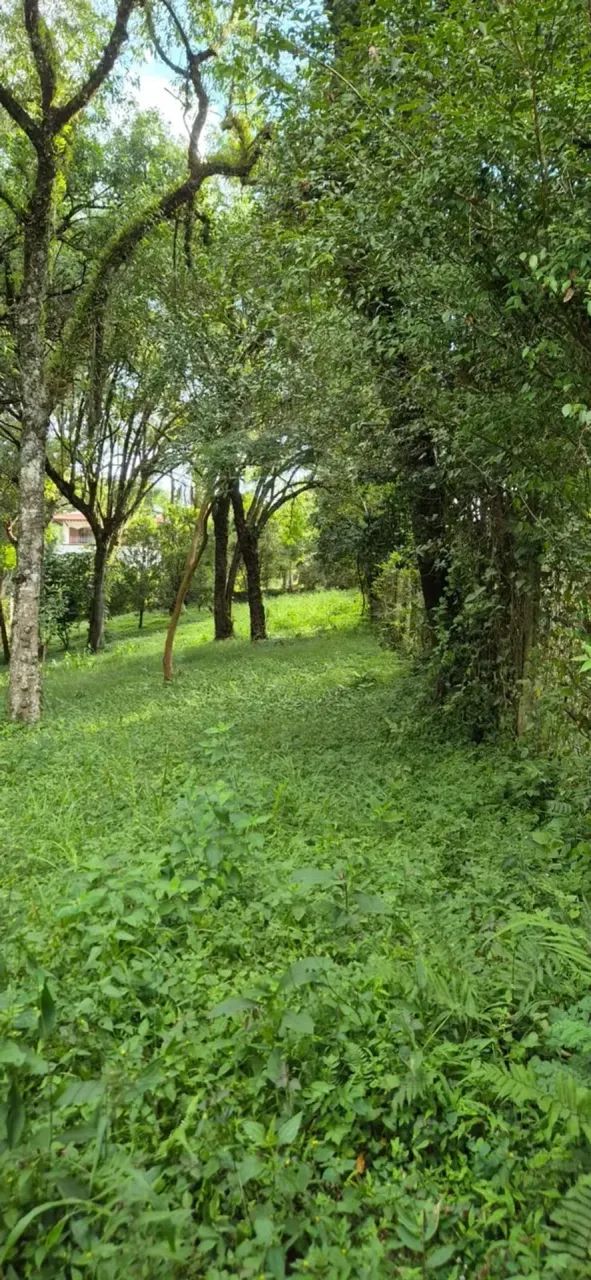 Excelente terreno no Abranches - Foto 3