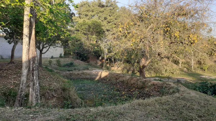 Chácara com 1.560 m² - Foto 5