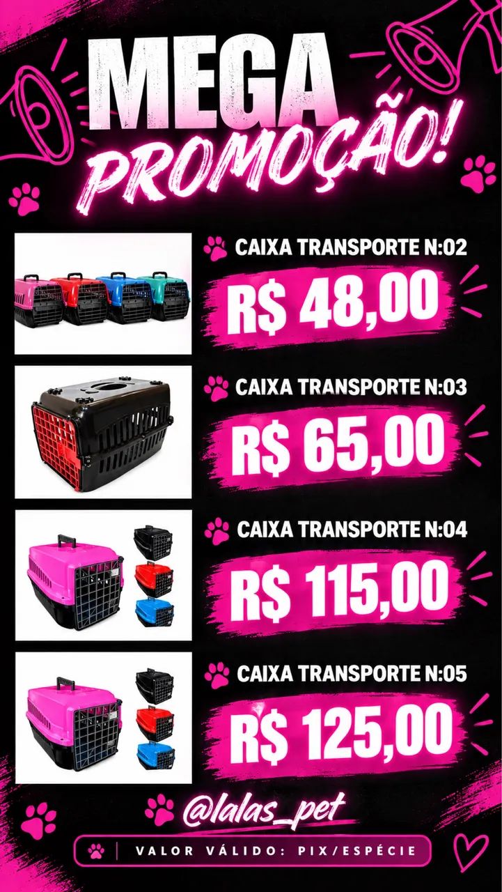 PROMOÇÃO CAIXA TRANSPORTE 