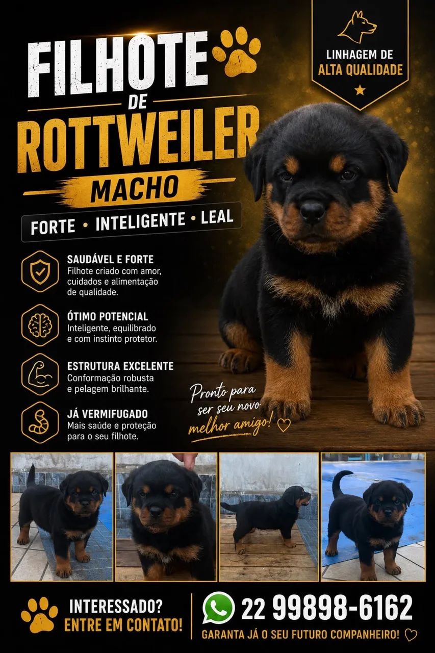 Rottweiler