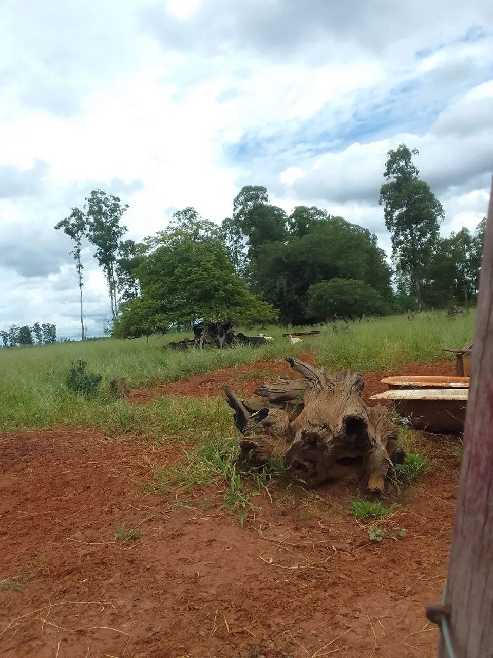 Foto - Bauru - Parque Paulista