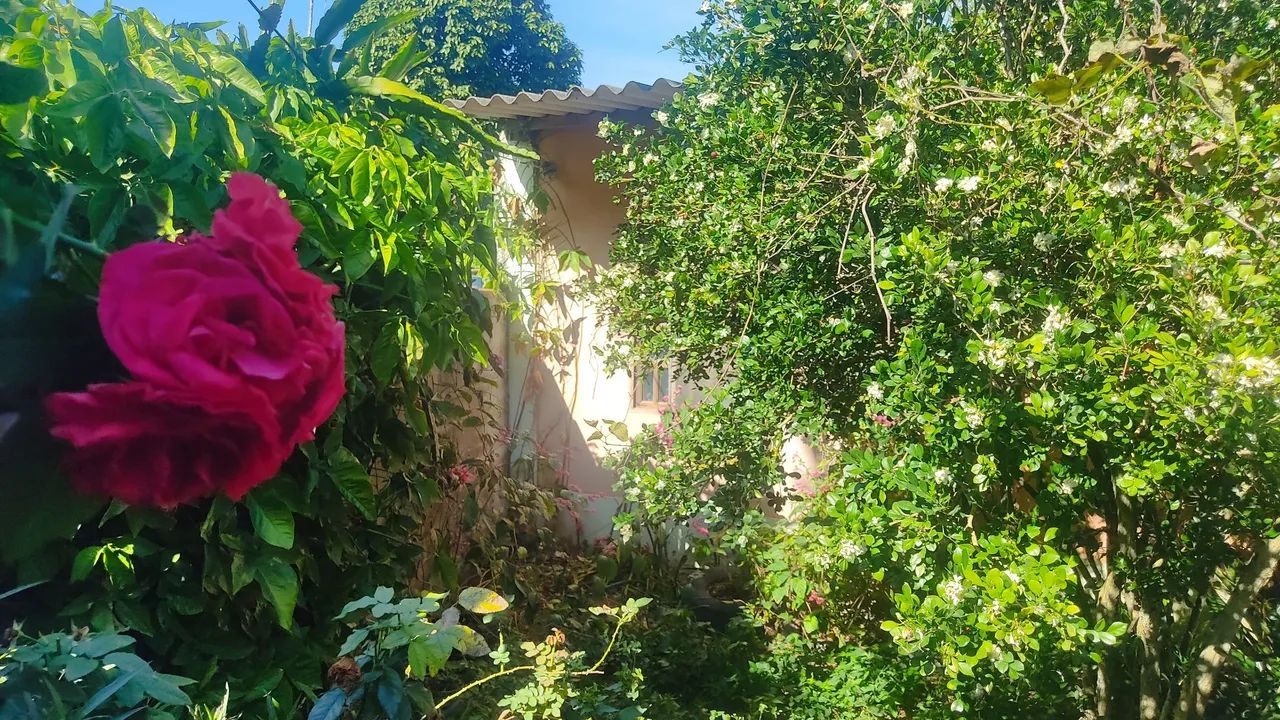 Terreno chácara sitio Nova Almeida 