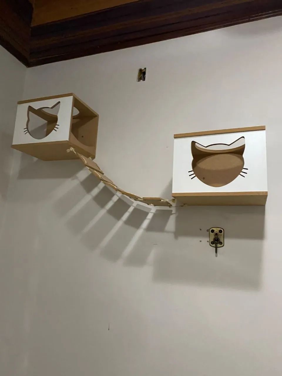 Nichos para gatos