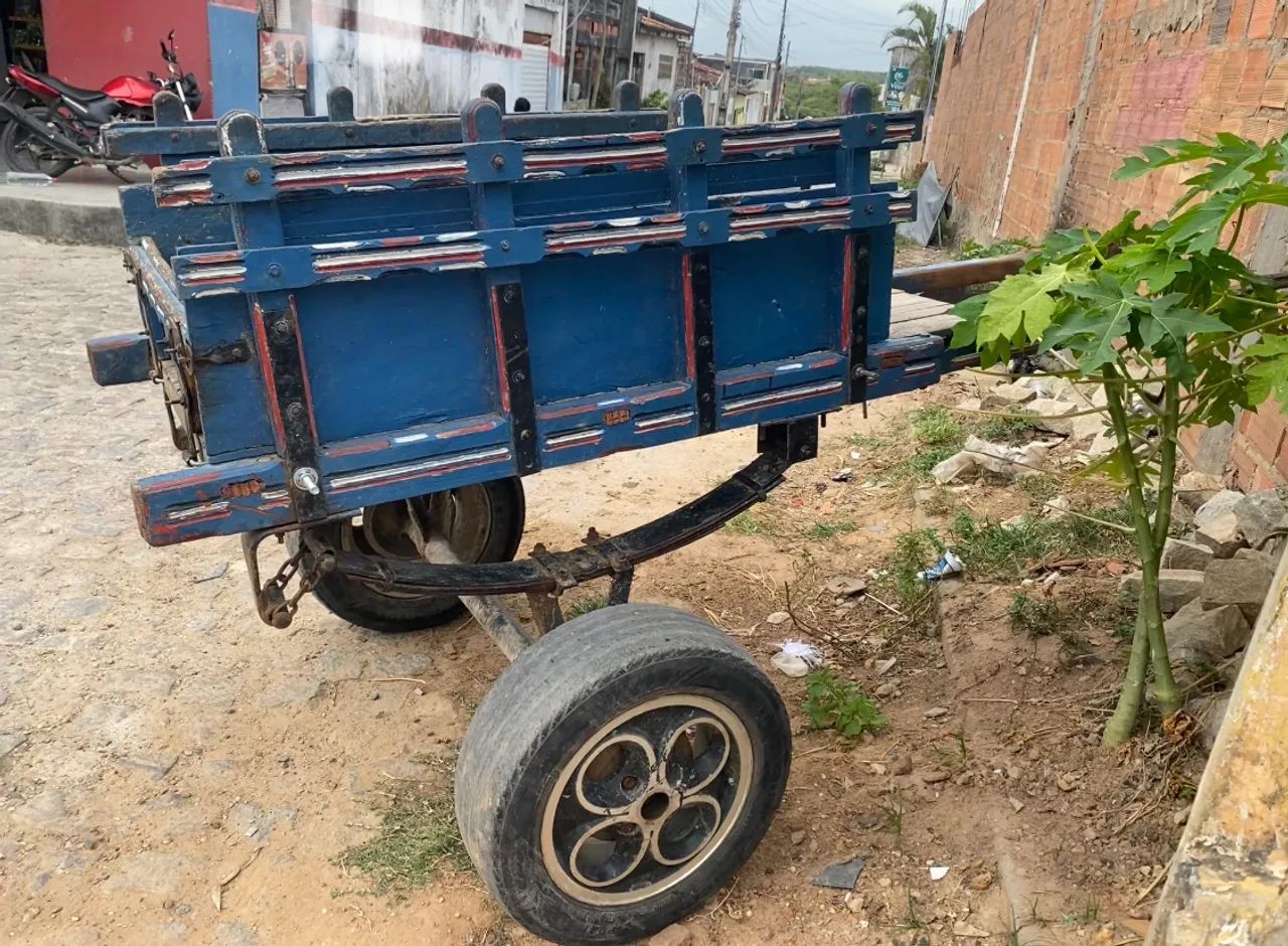 Carroça filé - Foto 2