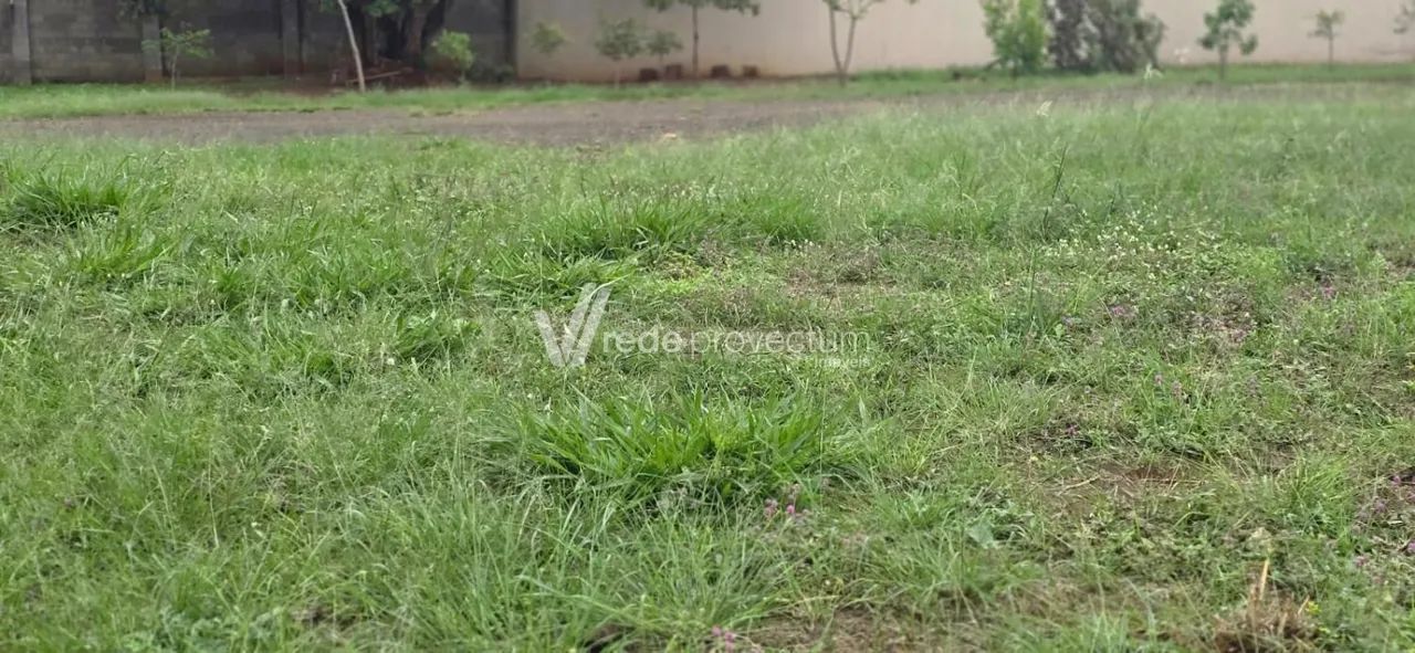 terreno - Boa Esperança - Paulínia - Foto 4