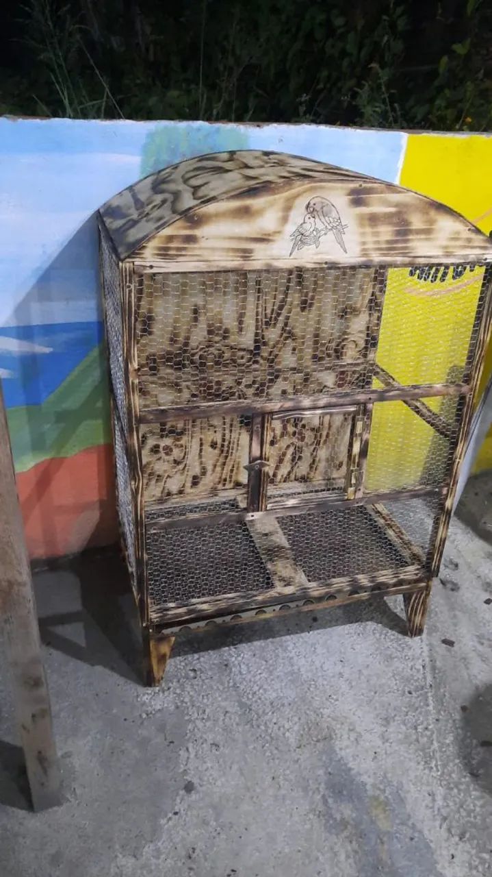 VIVEIRO CALOPSITAS/AVES EXÓTICAS  - Foto 3